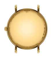 Tissot Everytime Gent Gold Grün 40mm Quarz Uhr Herren T143.410.33.091.00 Boden