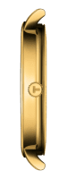 Tissot Everytime Gent Gold Grün 40mm Quarz Uhr Herren T143.410.33.091.00 Detail